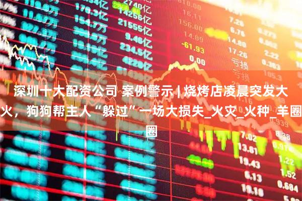 深圳十大配资公司 案例警示 | 烧烤店凌晨突发大火，狗狗帮主人“躲过”一场大损失_火灾_火种_羊圈