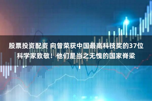 股票投资配资 向曾荣获中国最高科技奖的37位科学家致敬！他们是当之无愧的国家脊梁